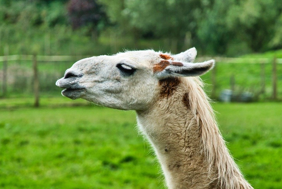 Glad2Glow Pout Candy: Rahsia Bibir Cerah Menawan