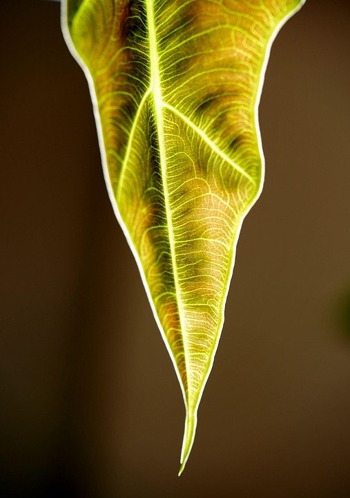 Tips Penyimpanan Beras Agar Kekal Segar dan Bebas Kutu