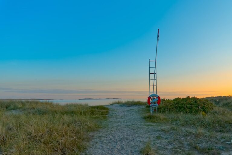 Boya Tino: Wangian Segar Buat Hari Anda Lebih Ceria