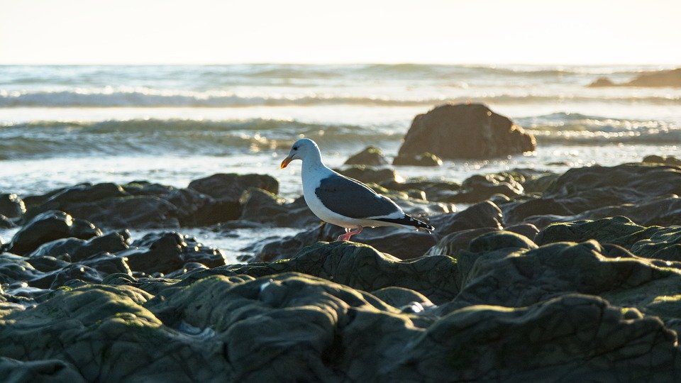 Spray Kasut Yang Cepat Kering Tanpa Melekit Di Kaki.