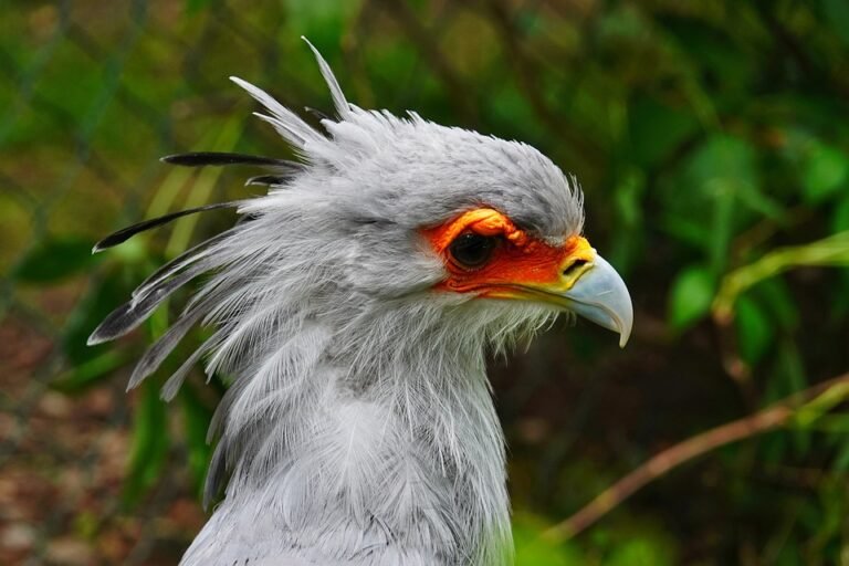 Harga Cadar SuperQueen 6-in-1 Paling Murah Di Malaysia Kini Terbongkar!