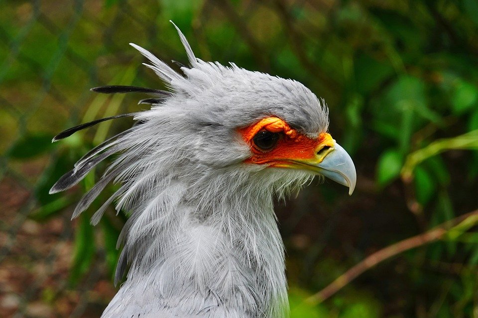 Harga Cadar SuperQueen 6-in-1 Paling Murah Di Malaysia Kini Terbongkar!