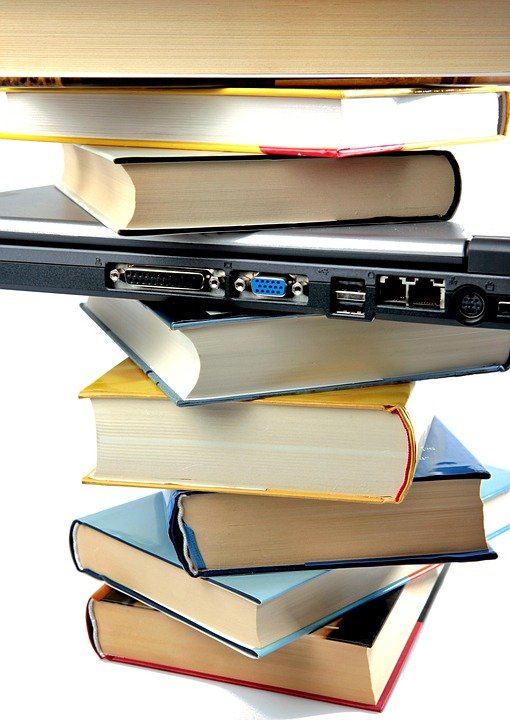 Bekas Beras Terbaik untuk Keperluan Dapur Profesional Anda