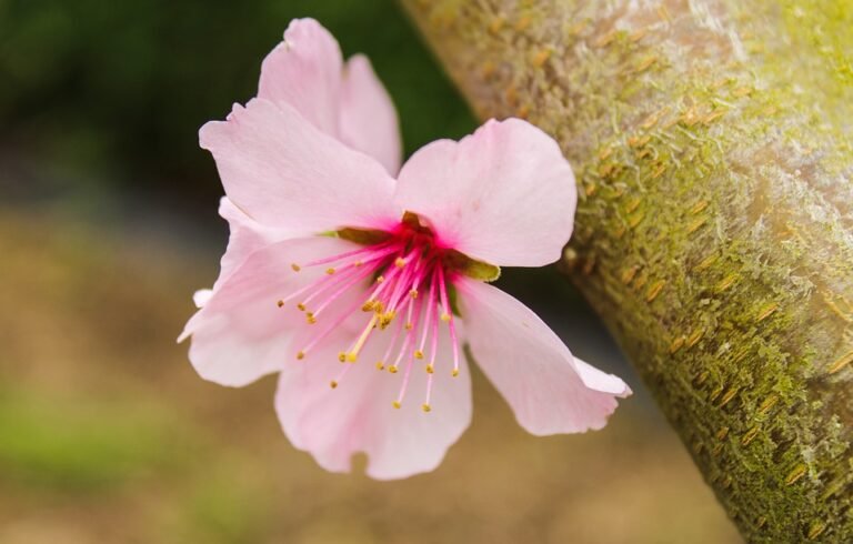 Kualiti Tak Mengecewakan