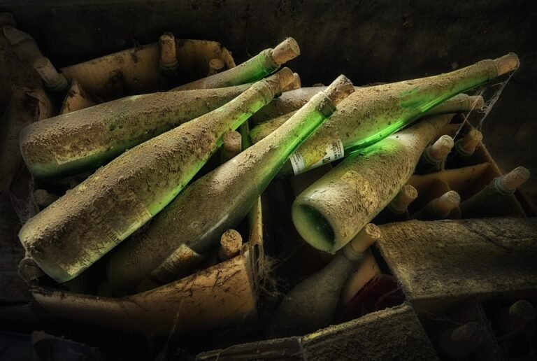 Bekas Beras Kedap Udara: Makanan Kering Anda Lebih Terlindung