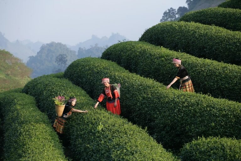 Pengalaman Baru Dengan Kasut Yang Sentiasa Segar.