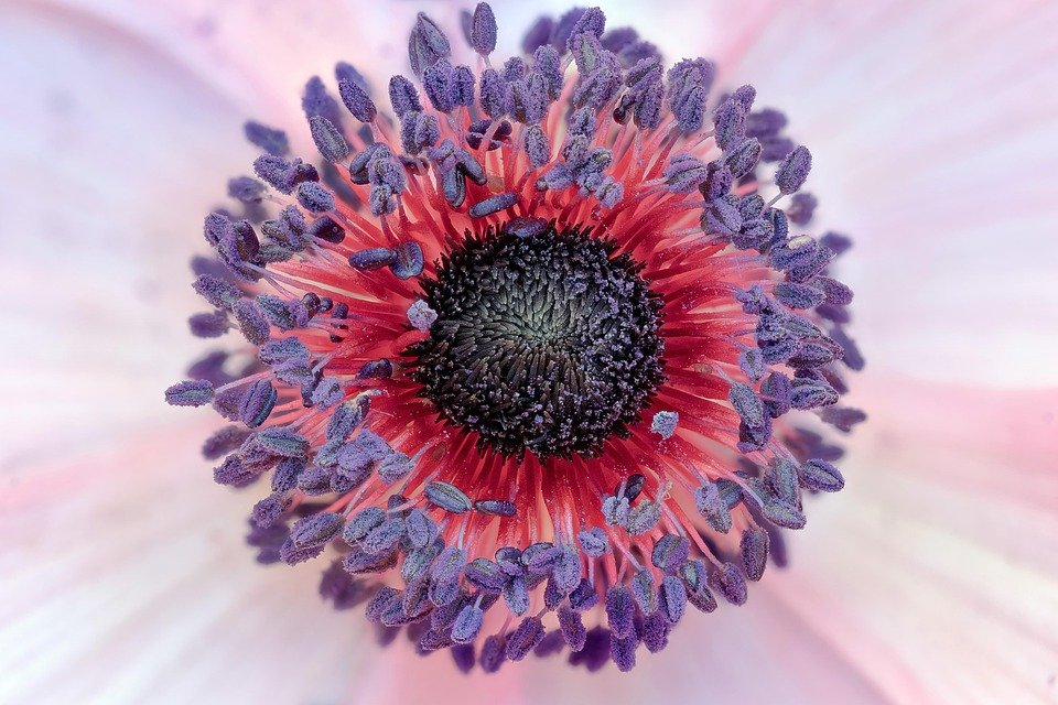 Cipta Suasana Hotel di Rumah Dengan Set Cadar Queen MUJI Style