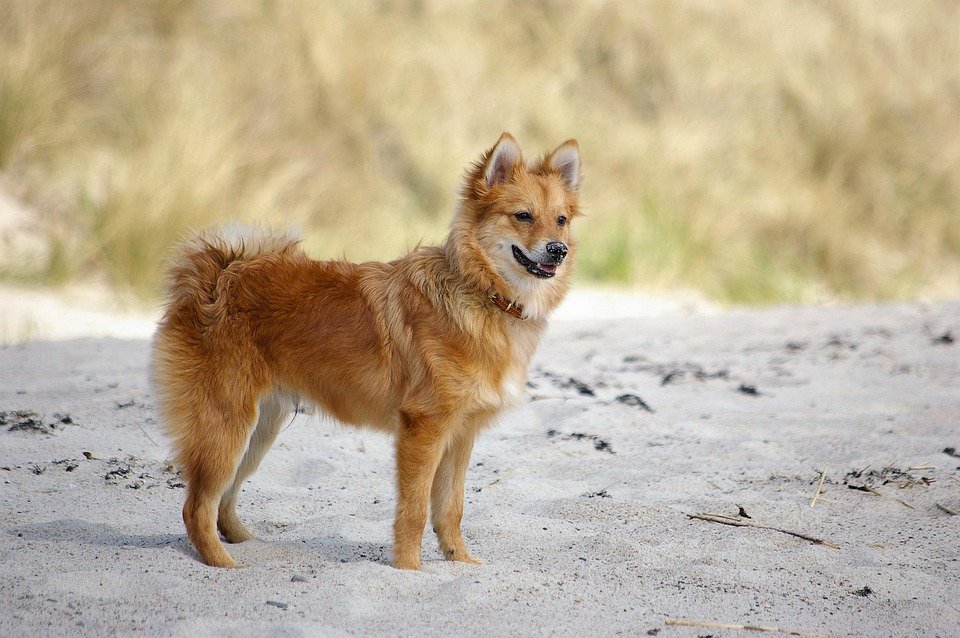 Tips Penjagaan Cadar Queen MUJI Style Agar Tahan Lebih Lama