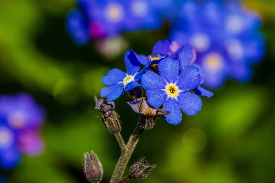 Jangan Cari Lain! Ini Dia Spray Anti-Bau Kasut Terbaik!