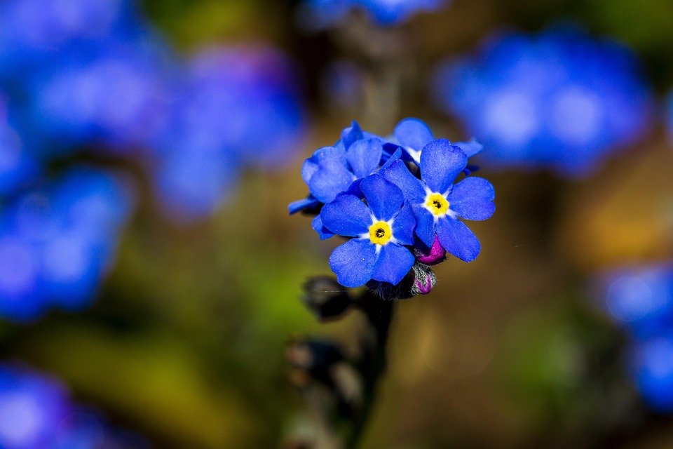 Jangan Beli Printer Thermal Bluetooth A6 Sebelum Baca Review Ini!