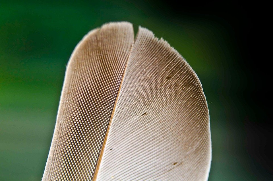 Tips Optimasi Bisnes Online Dengan Printer Thermal Bluetooth A6