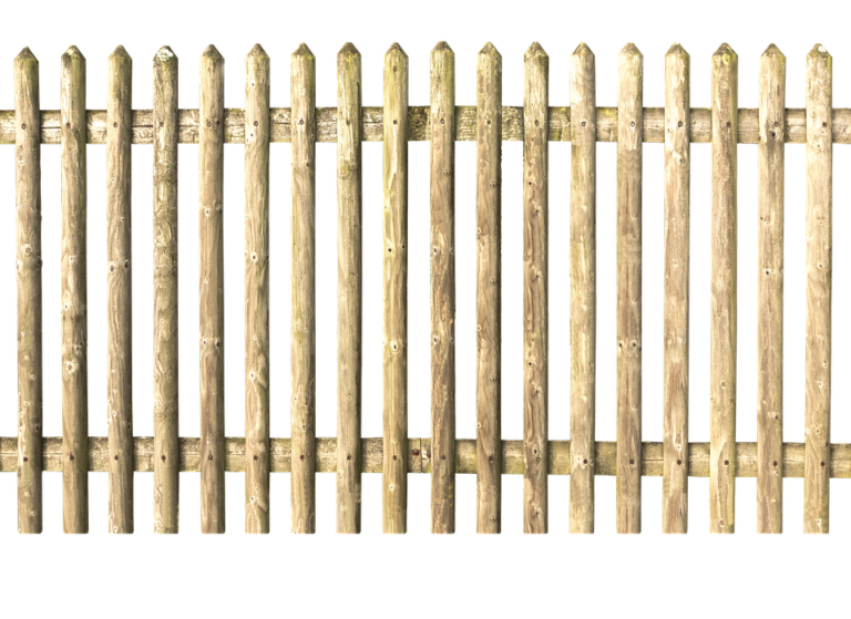 Cara Paling Berkesan Untuk Membuat Kasut Anda Wangi.