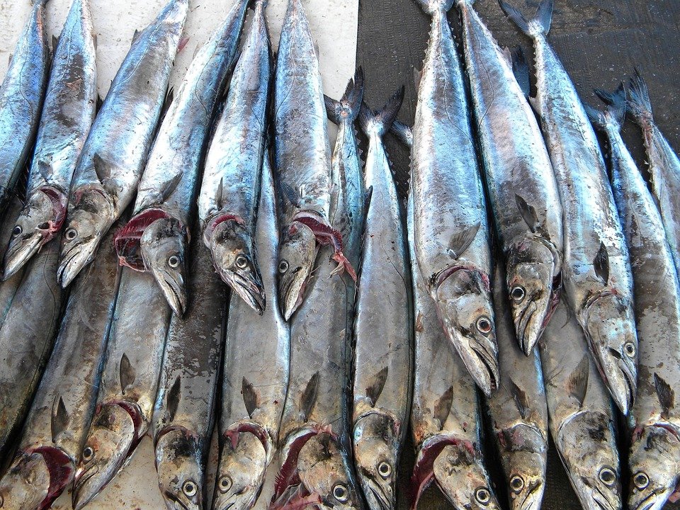 Keropok Lekor Gotel Vakum RM1: Snek Pilihan Utama Musim Perayaan.