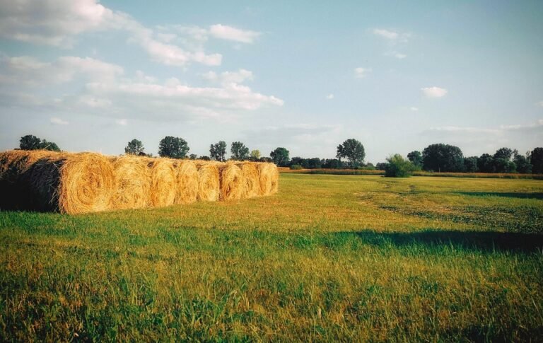 Beli Tilam Angin WTHB Sekarang! Diskaun Istimewa Menanti Anda.