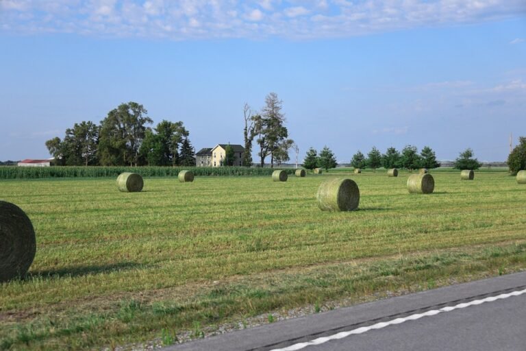 Jaminan Wangi Berpanjangan Untuk Kasut Kegemaran Anda.
