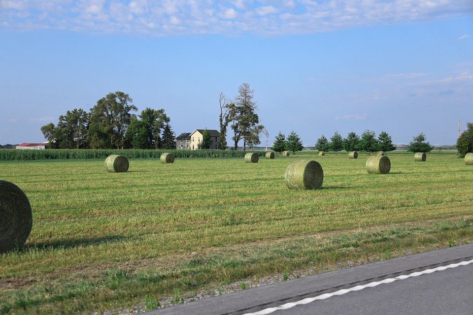 Jaminan Wangi Berpanjangan Untuk Kasut Kegemaran Anda.