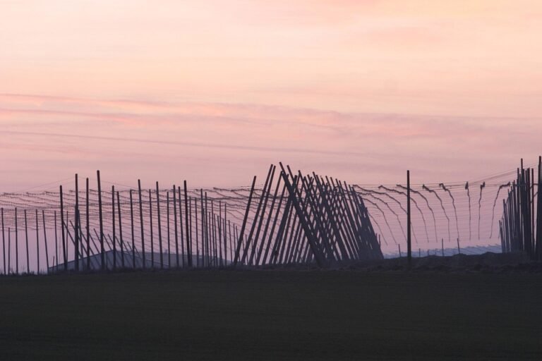 Lelaki Jangan Ketinggalan! Miliki Spray Kasut Terbaik Ini.