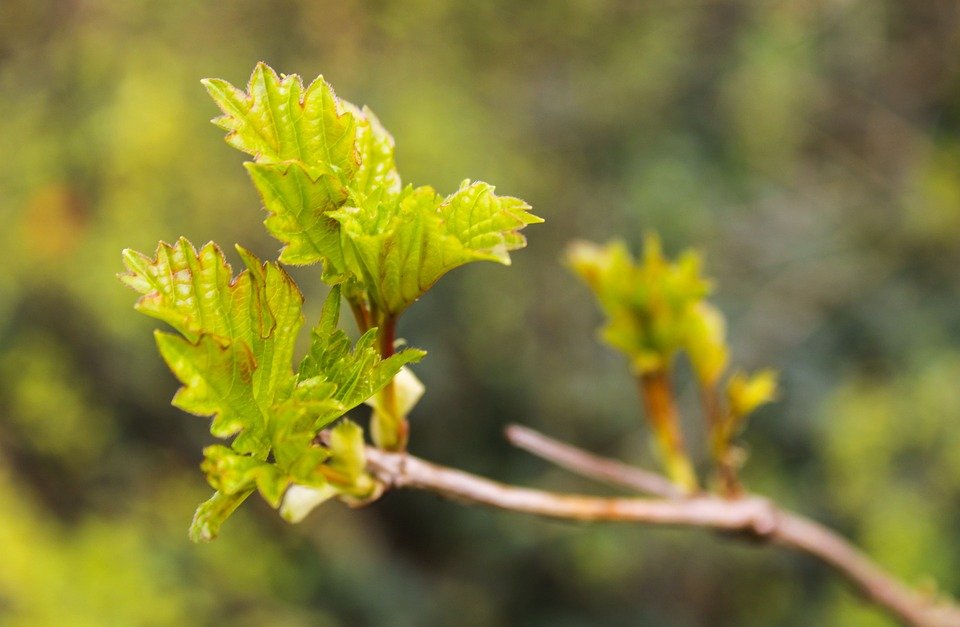 Tak Nampak Langsung! Earbud Tidur YOVONINE Pilihan Ramai
