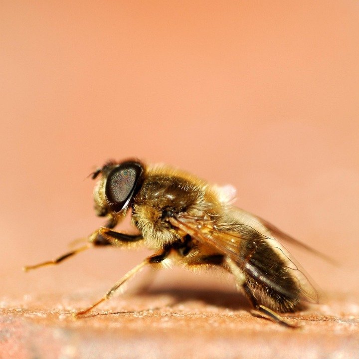 Review Bekas Beras yang Tidak Mudah Pecah dan Retak