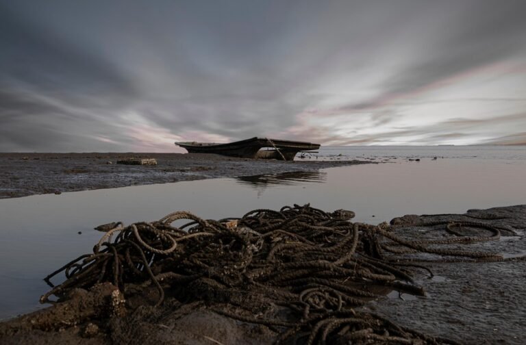 Bekas Beras Terbaik untuk Keluarga yang Mementingkan Kebersihan