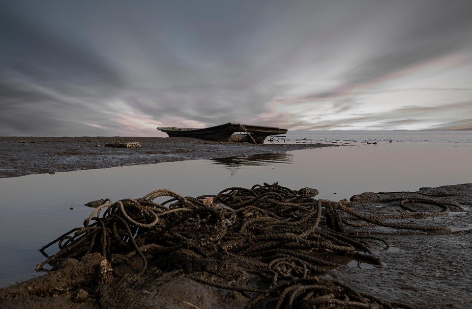 Bekas Beras Terbaik untuk Keluarga yang Mementingkan Kebersihan