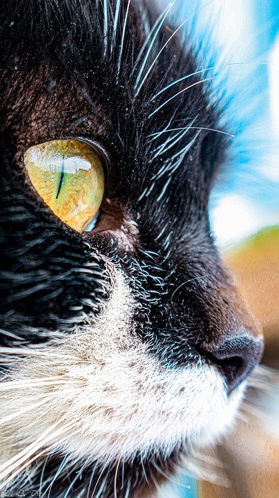 Cara Gaya But Martin Lelaki Tinggi Pendek Agar Nampak Lebih Trendy