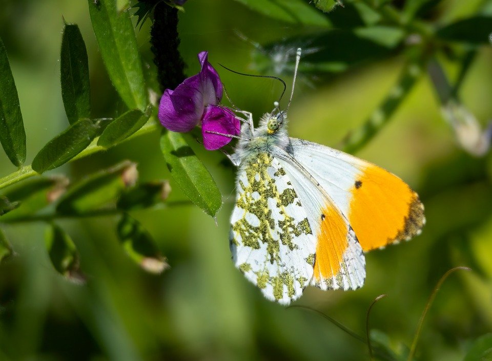 Tips Penjagaan Kasut: Rahsia Kekal Wangi Selalu.