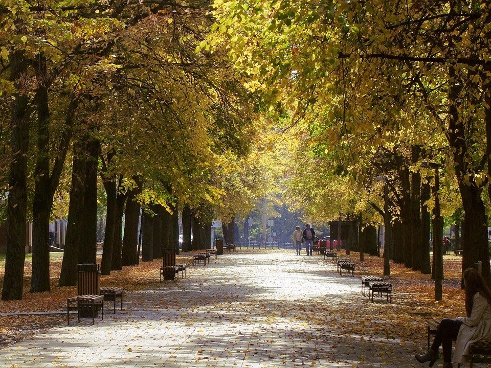 Promo Hebat! Pelapik Tidur Kembung Satu Klik Otomatik Paling Murah.