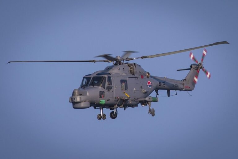 Anti Kelemumur Berkesan dengan Minyak Zaitun Semulajadi 50ml