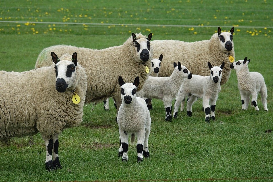 Cari Tilam Camping Murah? Tilam Angin WTHB Jawapannya.