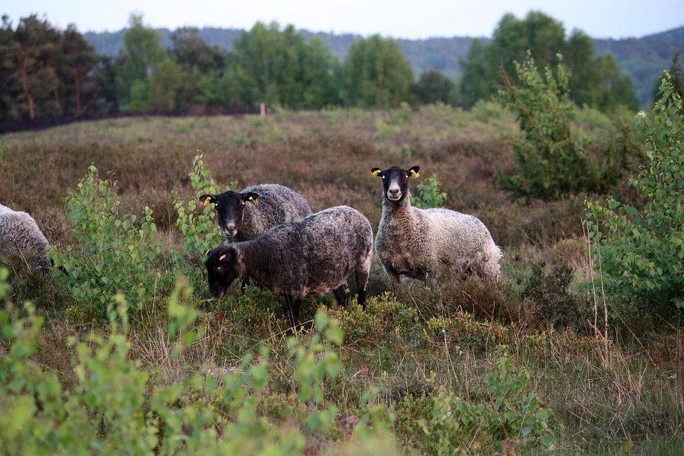 Dapatkan Keyakinan Diri Kembali Dengan Kasut Yang Wangi.