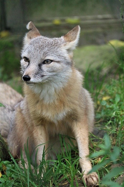Tong Beras Anti Kelembapan yang Direka Khas untuk Malaysia