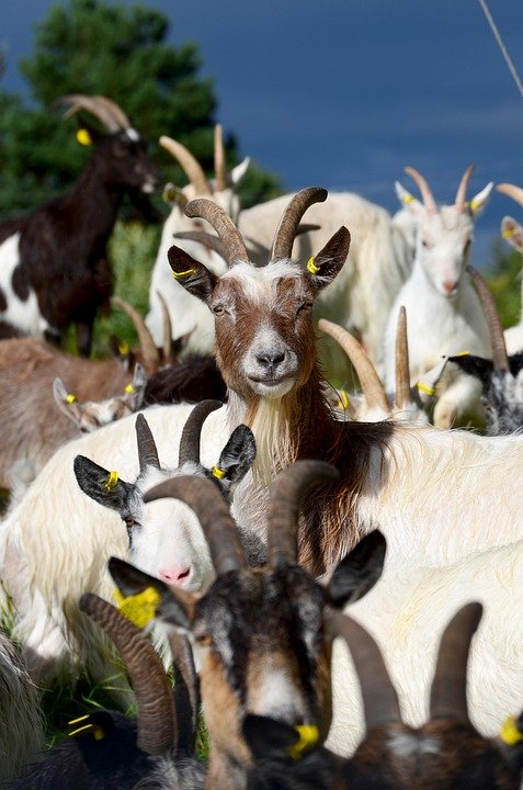 Dapatkan Promosi Hebat Untuk Spray Anti-Bau Kasut Terbaik.