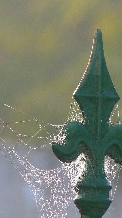 Tips Mengatur Dapur dengan Bekas Beras yang Efisien