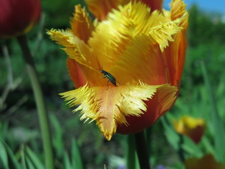 Tips Gaya Dengan Set Zahra Ironless CEY: Dari Pejabat Ke Majlis!