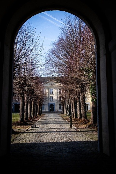 Bekas Beras Kedap Udara: Pastikan Beras Anda Terlindung