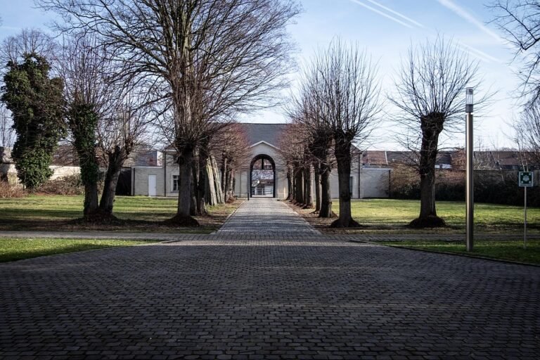 Bekas Beras Kedap Udara yang Mudah Dibersihkan dan Dijaga