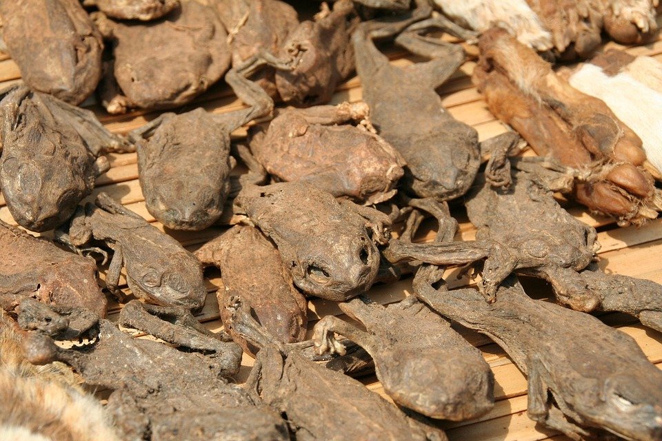 Jimat Duit Dengan Julydoll Contour Palette Yang Multifungsi.