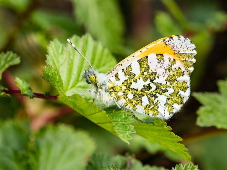 Tips Memilih Seluar Sukan Slim-Fit Paling Berkesan