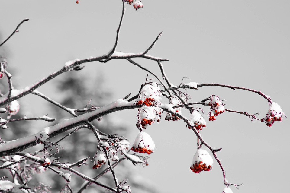 Pemerah Bibir Kalis Air KIMUSE: Kekal Jelita Tanpa Risau