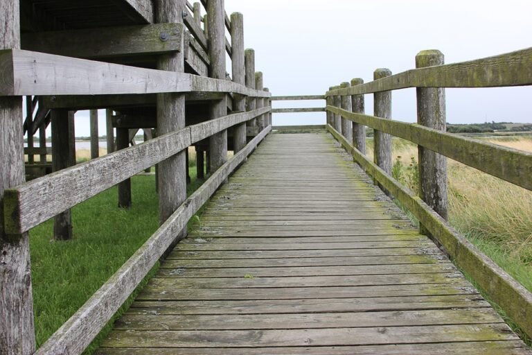 Semburan AISYAH HOMES: Jawapan Kepada Masalah Bau Kaki Busuk