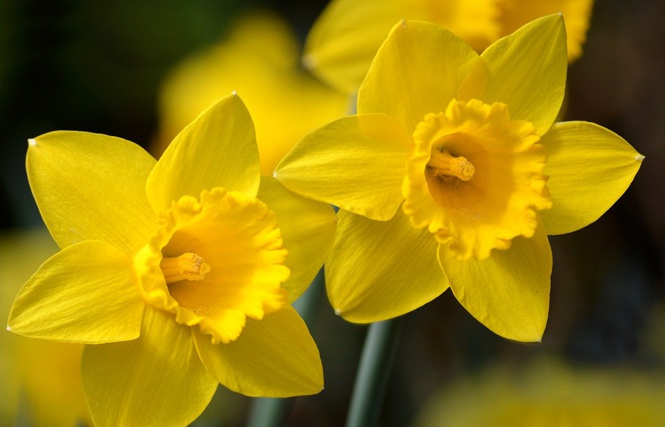 Kenyamanan Keropok Lekor Gotel Vakum: Sedap Dinikmati Bila-Bila Masa.