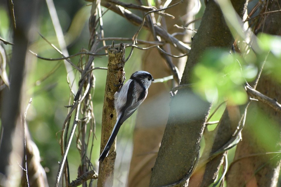 Panduan Penjagaan Boya Perfume Agar Tahan Lebih Lama