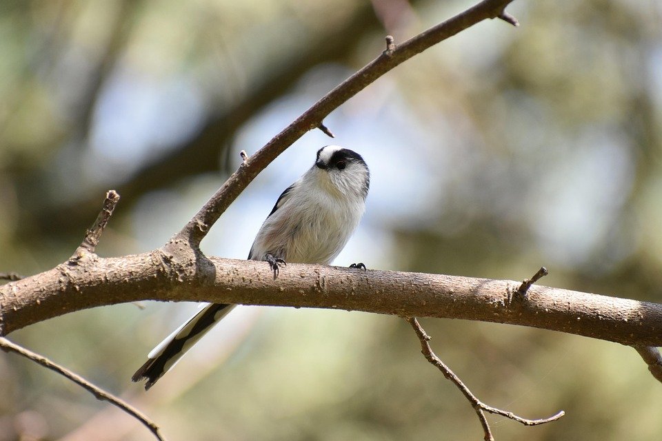 Panduan Membeli Set Baju Muslimah Zahra Ironless CEY Online Tanpa Risau