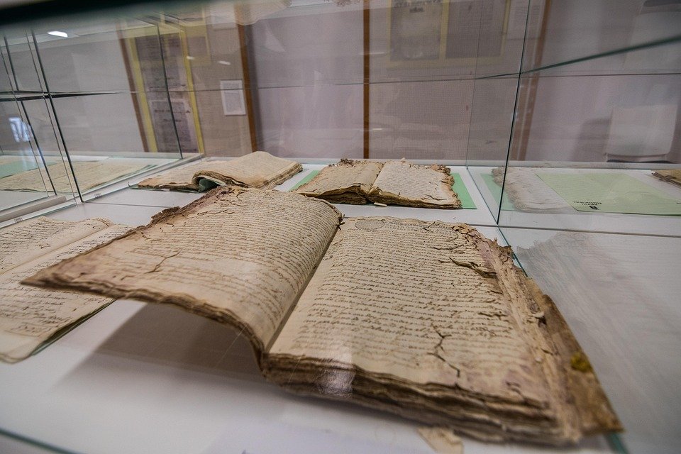 Bekas Beras Dengan Reka Bentuk Minimalis untuk Dapur Elegan