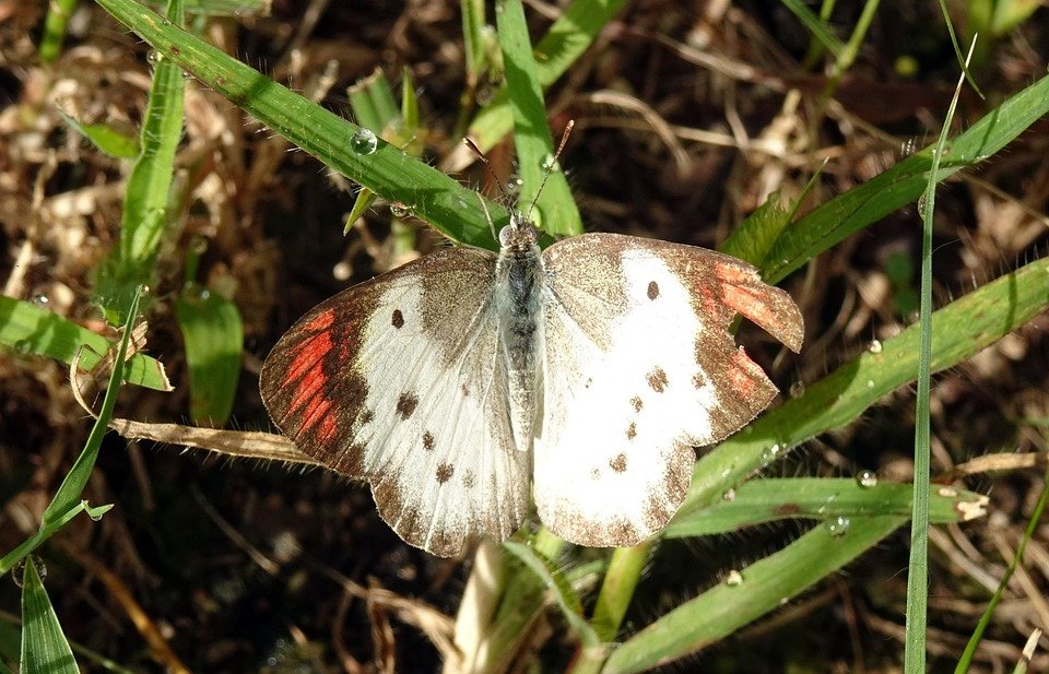 Tips Padanan Warna Dengan Clashe Palazzo Jeans.