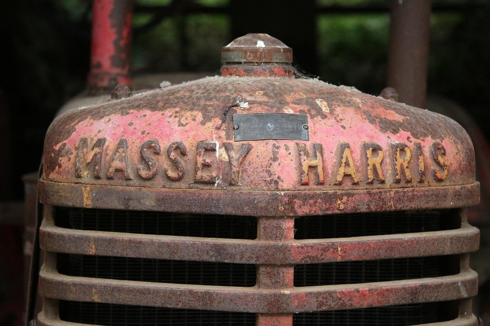 Bekas Beras Anti Hama dan Lipas: Kebersihan Dapur Dijamin