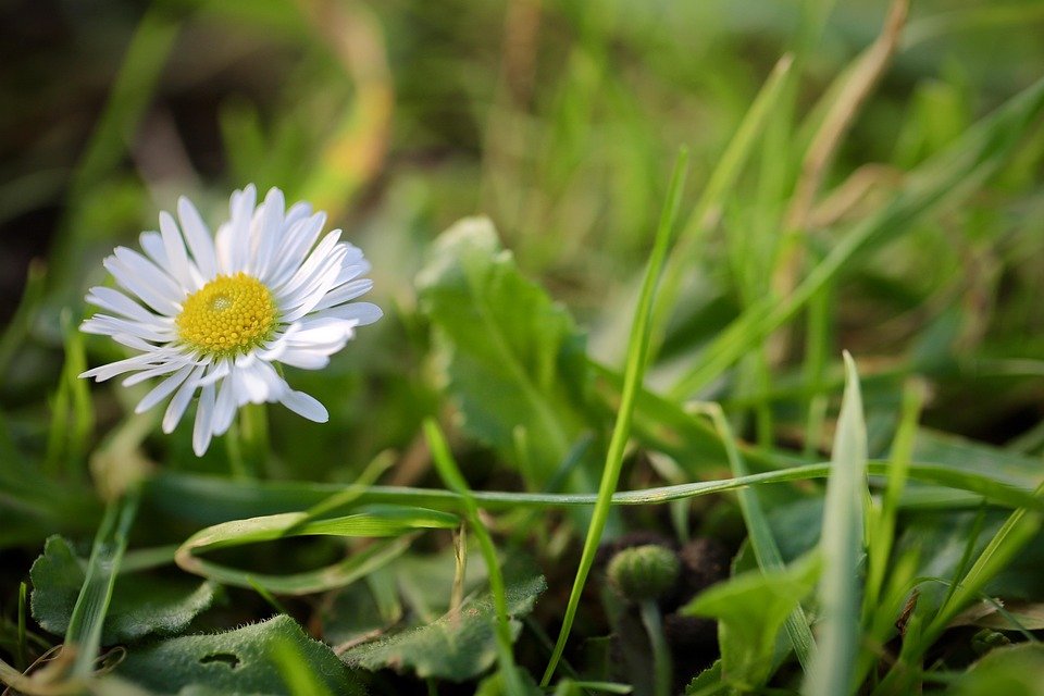 Beli Lokal Sokong Lokal.