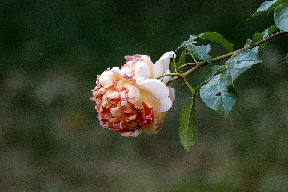 Rahsia Kekal Muda dengan BIOAQUA Moisturizing Mask Anti-Penuaan