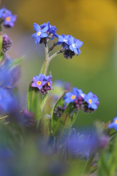 Jangan Biarkan Bau Hapak Rosakkan Mood Anda!